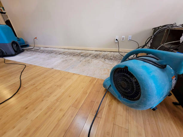 Professional Water Damage Repair technician working in Nine Mile Falls, WA